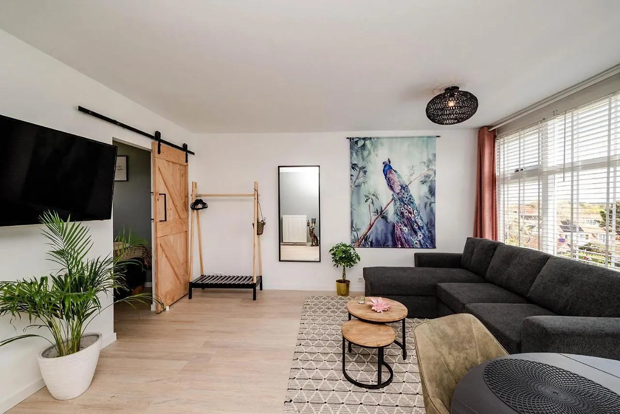 Amsterdam Beach Apartment 52 Zandvoort 0*,